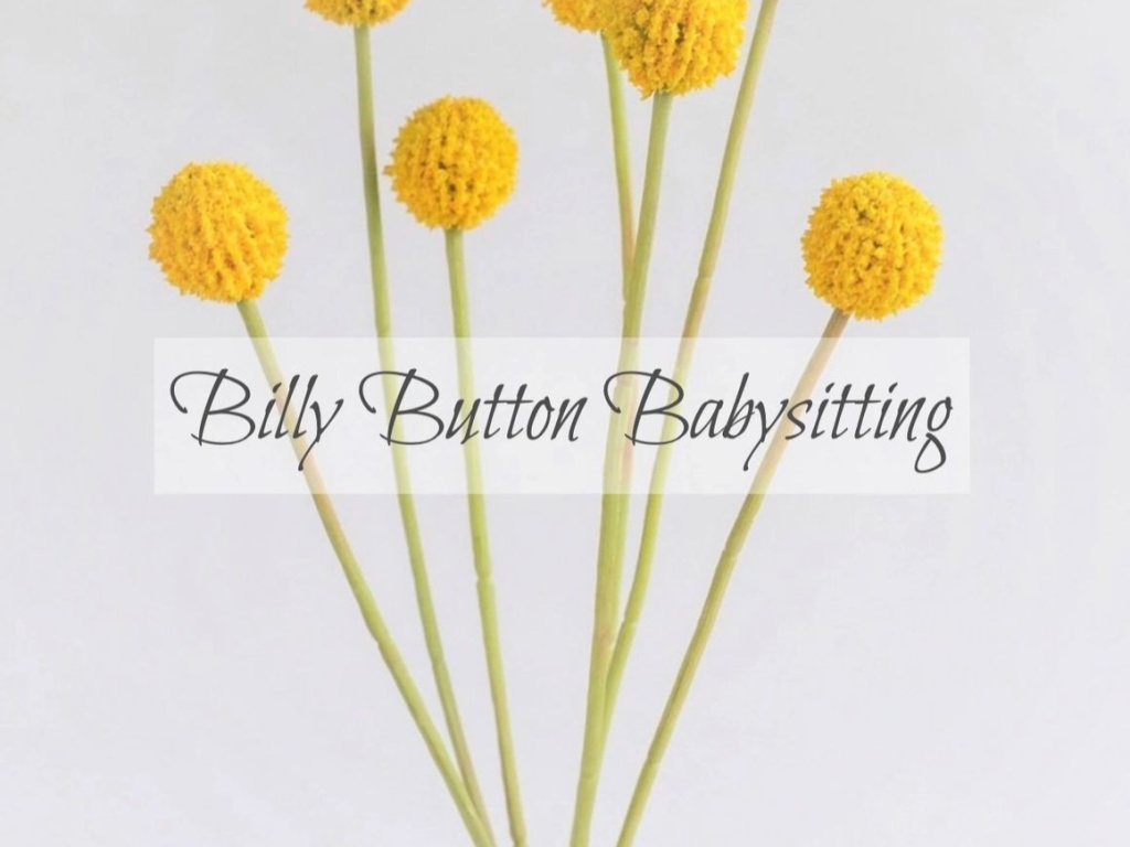 BILLY BUTTON BABYSITTING AGENCY 