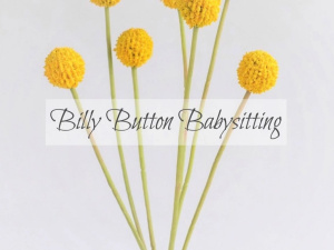 BILLY BUTTON BABYSITTING AGENCY 